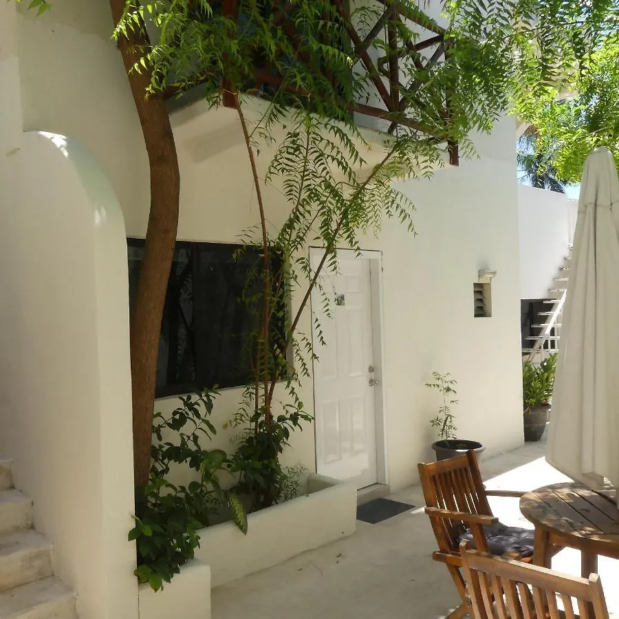 Estudios 14 Bis Πλάγια Ντελ Κάρμεν 0*,  Μεξικό
